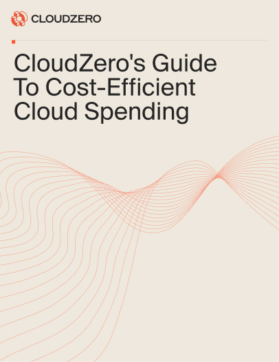 CloudZero's Guide To Cost-Efficient Cloud Spending