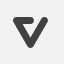 Validity Logo Icon