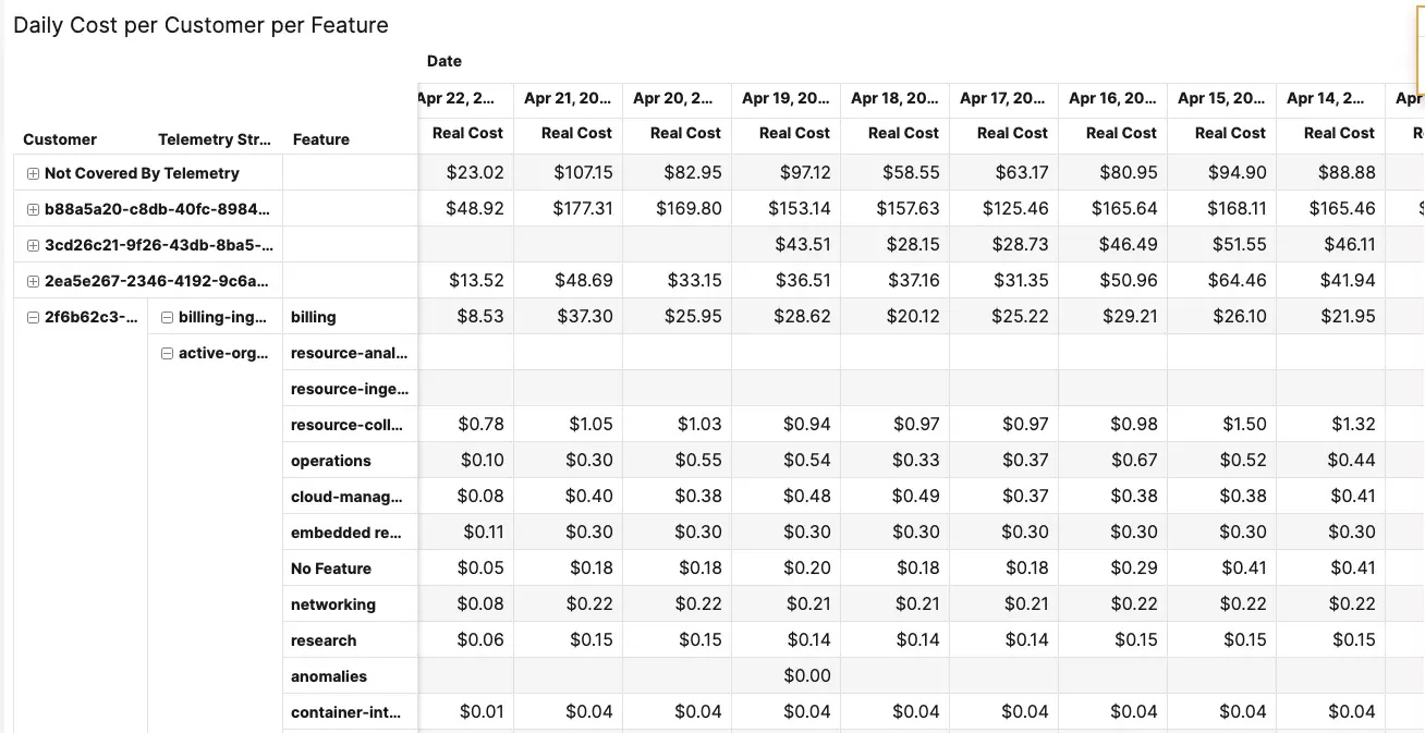 Daily Cost Per Customer Per Feature Pivot Table