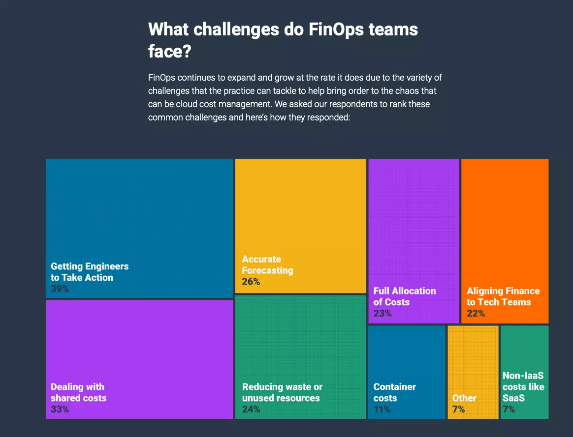 FinOps Teams Challenges