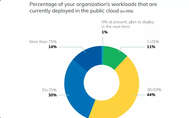 Workloads Deployed in Public Cloud Chart