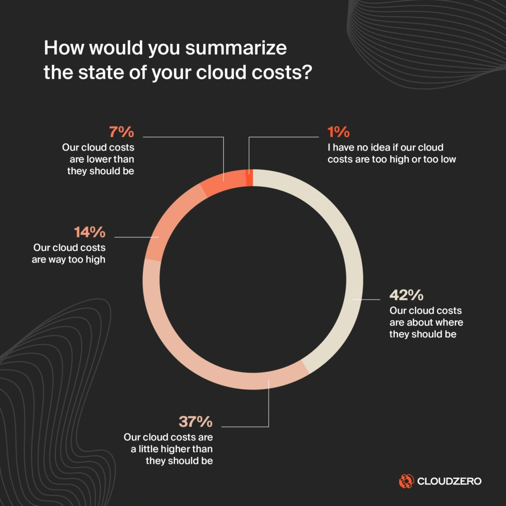 CloudZero State of Cloud Cost Report 2024