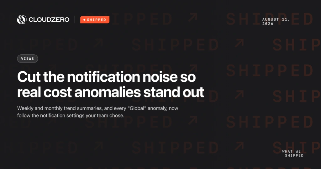 Shipped: Cut the notification noise so real cost anomalies stand out