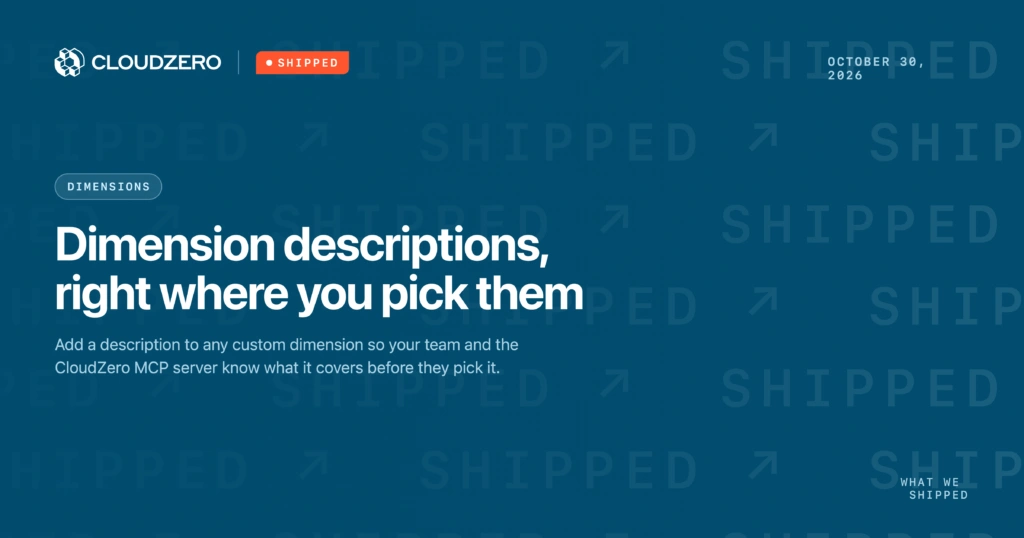 CloudZero dimension descriptions: add a description to any custom dimension so the right one is picked
